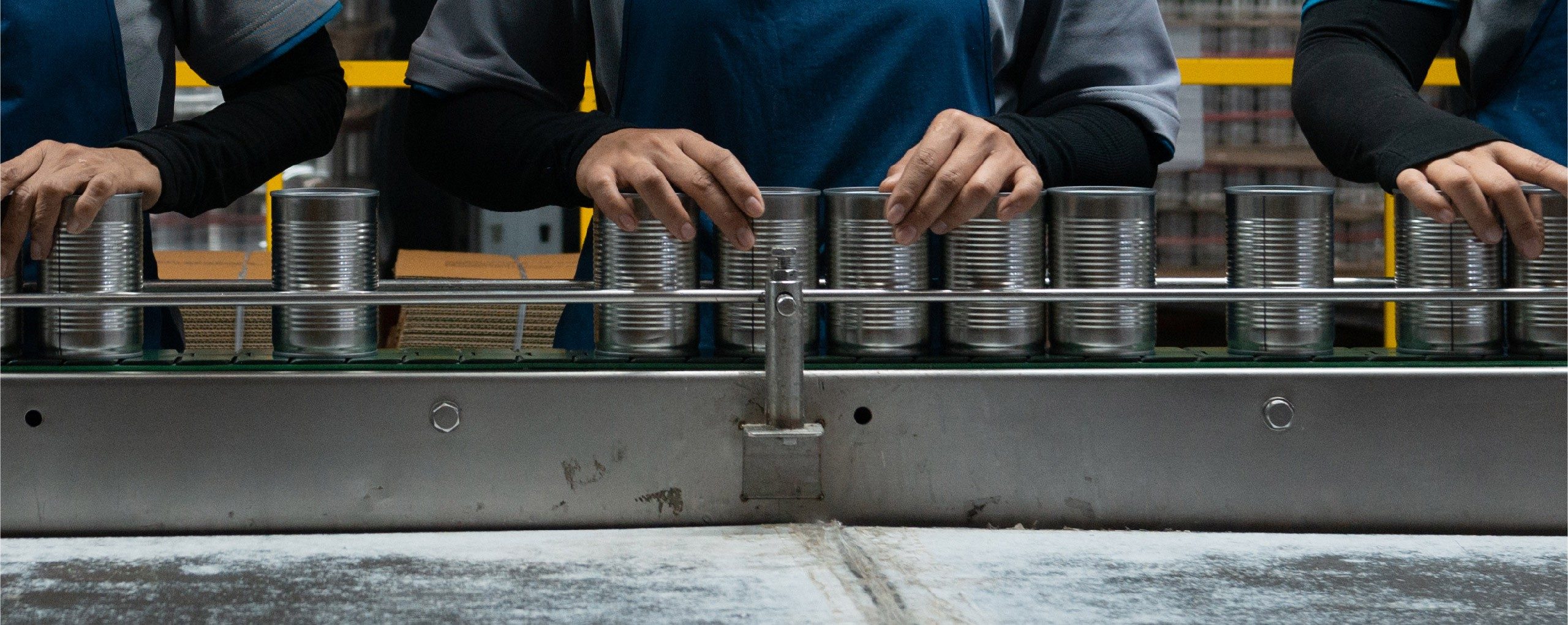 Our products head pic-07