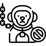no-chain (1)